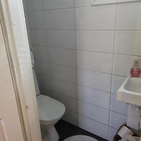 Omakotitalo Hyvaellae Sijainnilla *